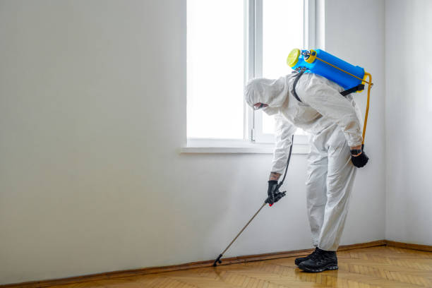 Professional Pest control in Pulaski, WI